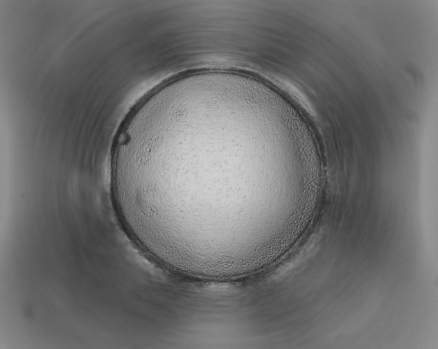 X0000113740839200910141002