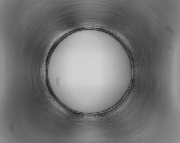 X0000113740840200910141002