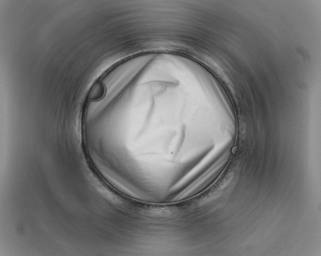 X0000113740843200910141002