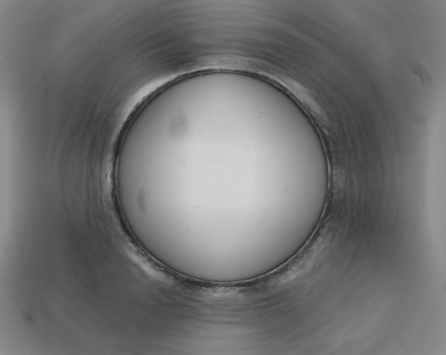 X0000113740846200910141002