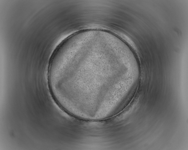 X0000113740847200910141002