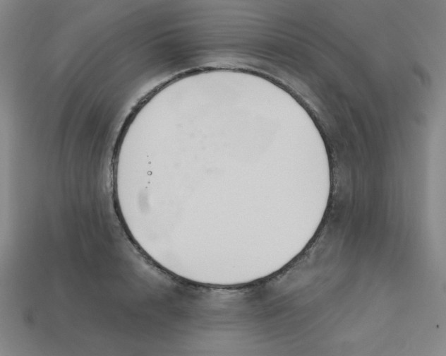 X0000113740848200910141002