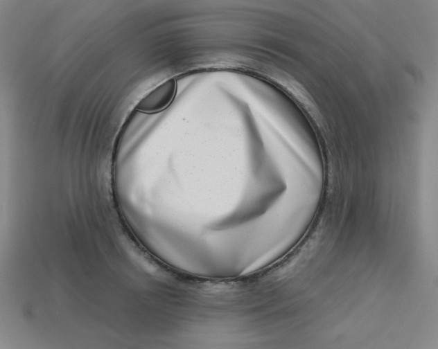 X0000113740850200910141002