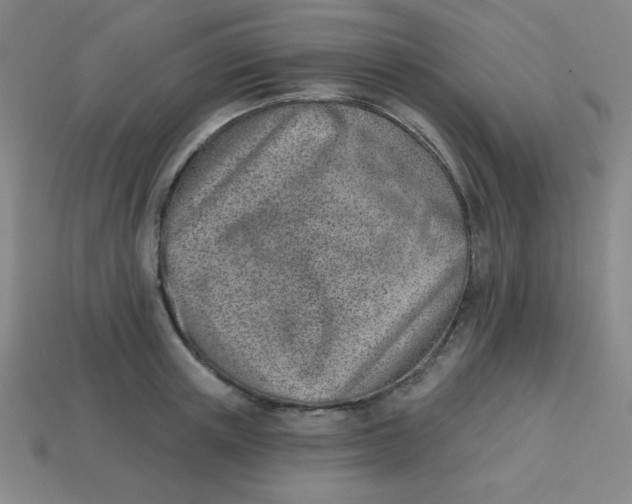 X0000113740851200910141002