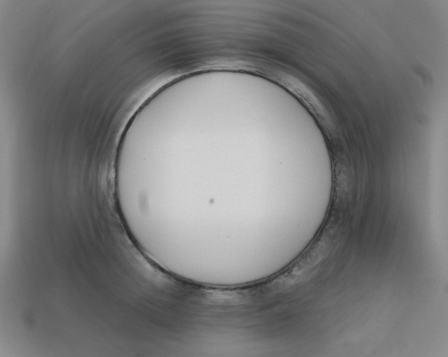 X0000113740852200910141002