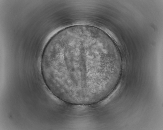 X0000113740854200910141002