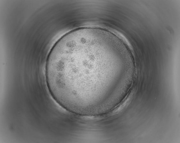 X0000113740855200910141002