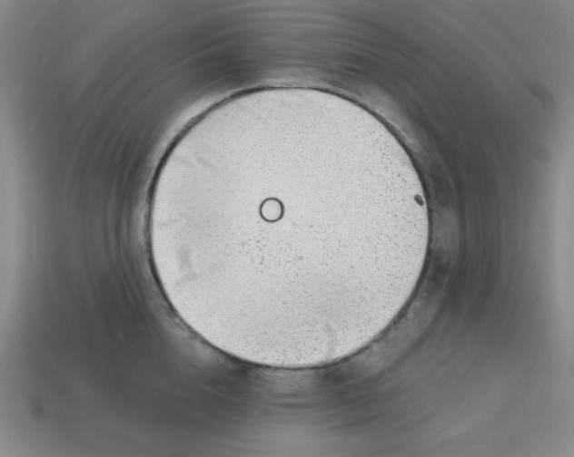 X0000113740856200910141002