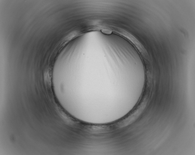 X0000113740857200910141002