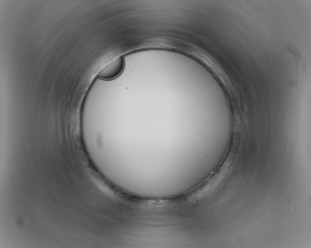 X0000113740858200910141002