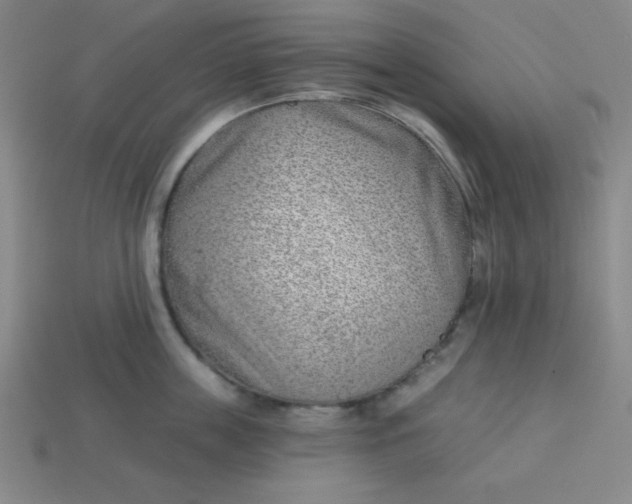 X0000113740859200910141002