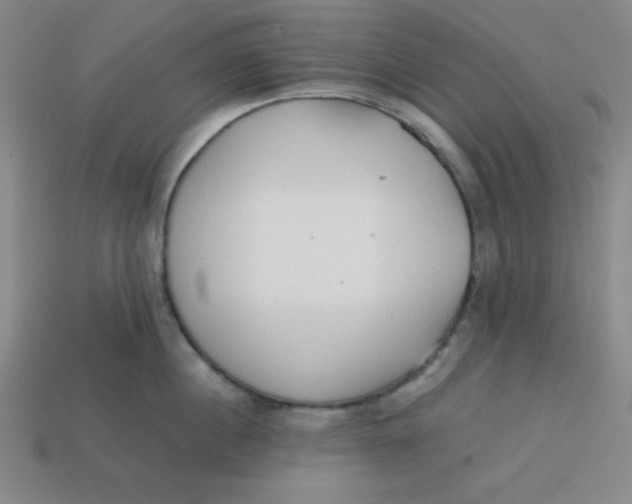 X0000113740860200910141002