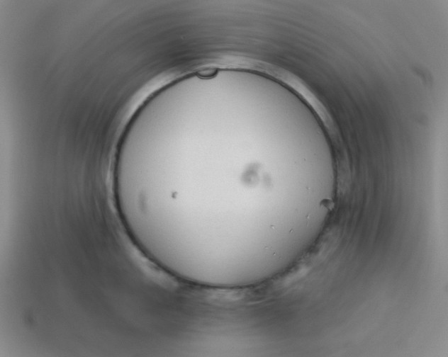 X0000113740861200910141002