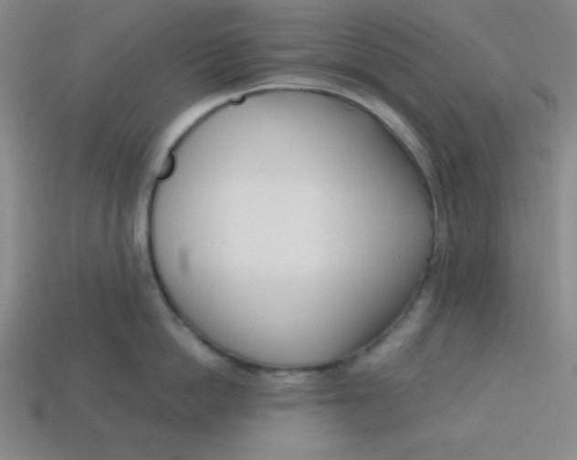 X0000113740862200910141002