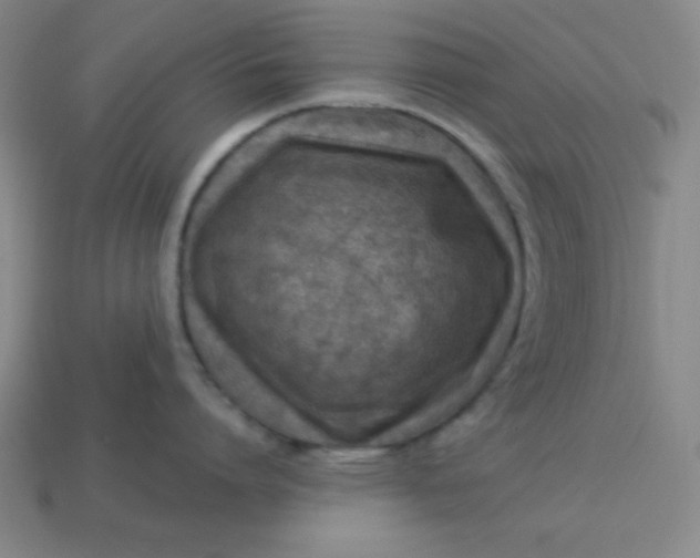 X0000113740864200910141002