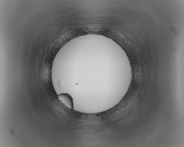 X0000113740866200910141001