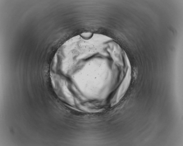 X0000113740867200910141001