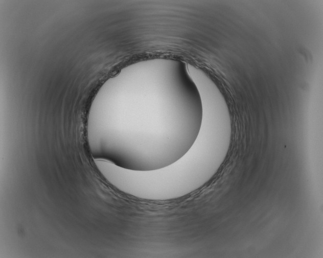 X0000113740868200910141001