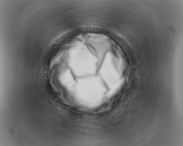 X0000113740870200910141001