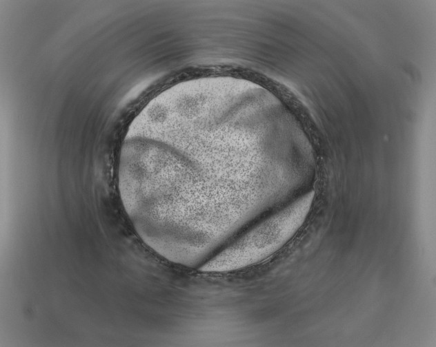 X0000113740871200910141001