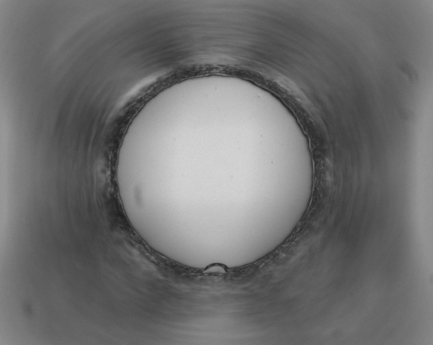 X0000113740872200910141001