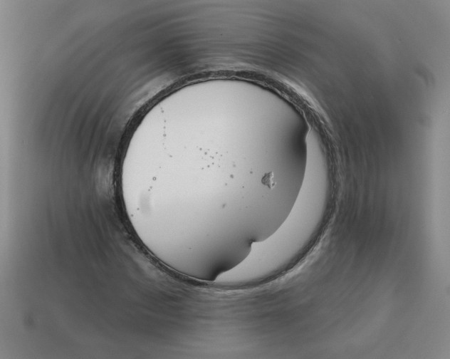 X0000113740873200910141001