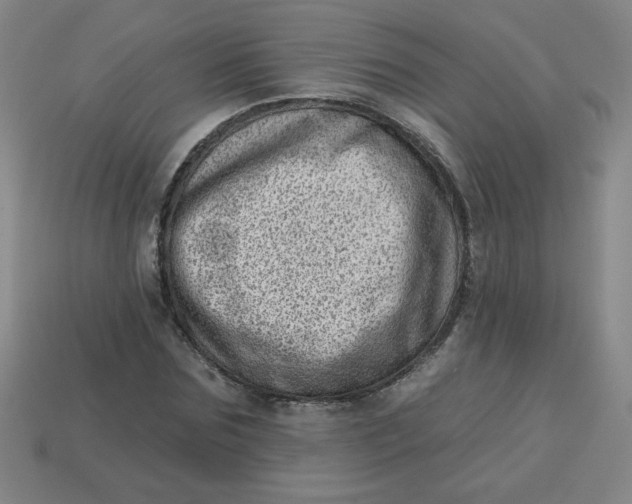 X0000113740875200910141001