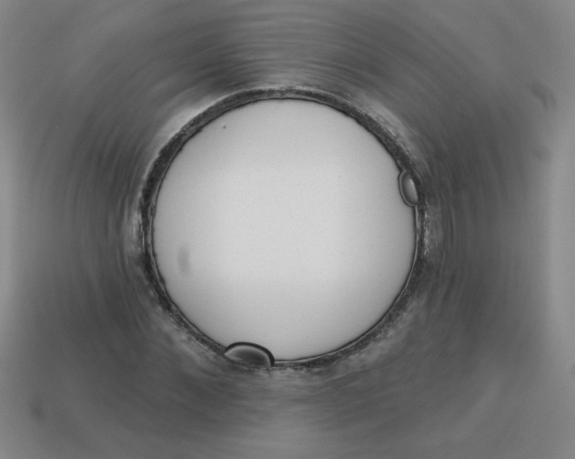 X0000113740876200910141001