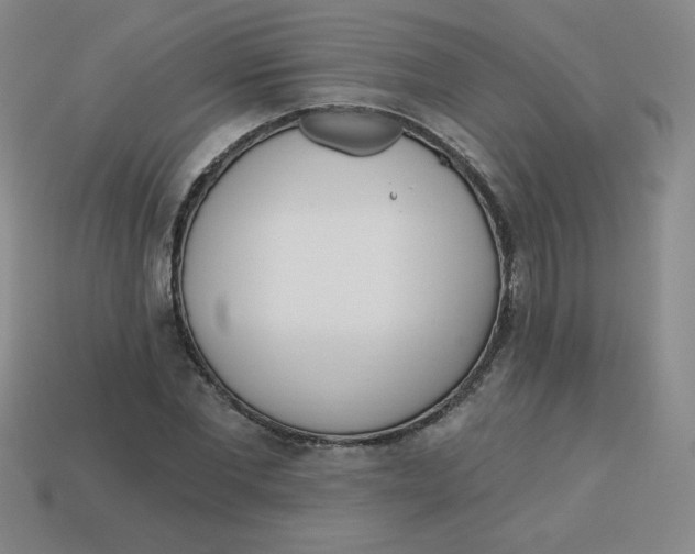 X0000113740877200910141001