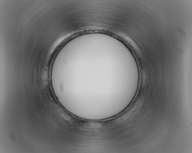 X0000113740878200910141001