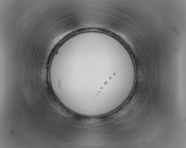 X0000113740879200910141001