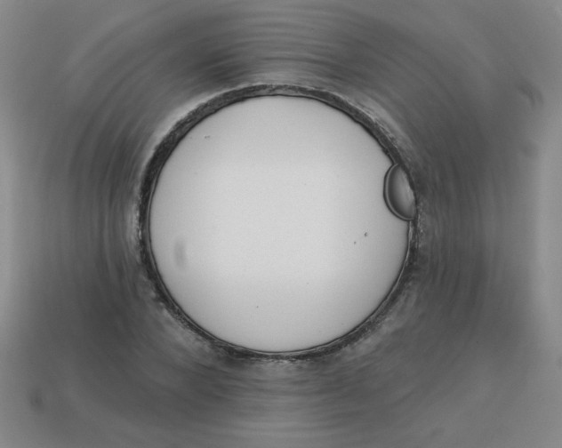 X0000113740880200910141001