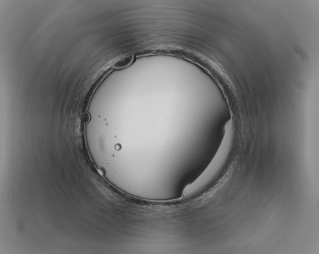 X0000113740881200910141001