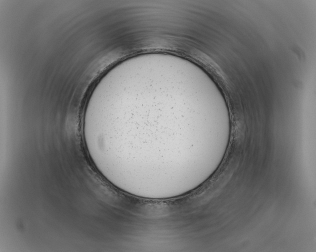 X0000113740882200910141001