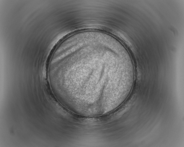 X0000113740883200910141001