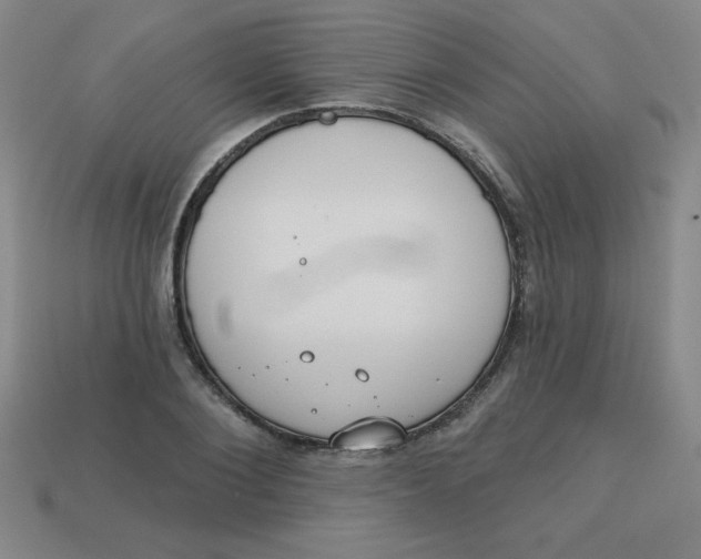 X0000113740884200910141001