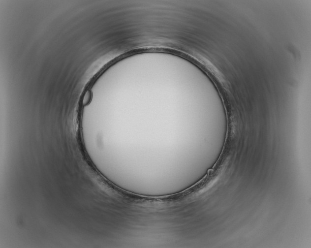 X0000113740885200910141001