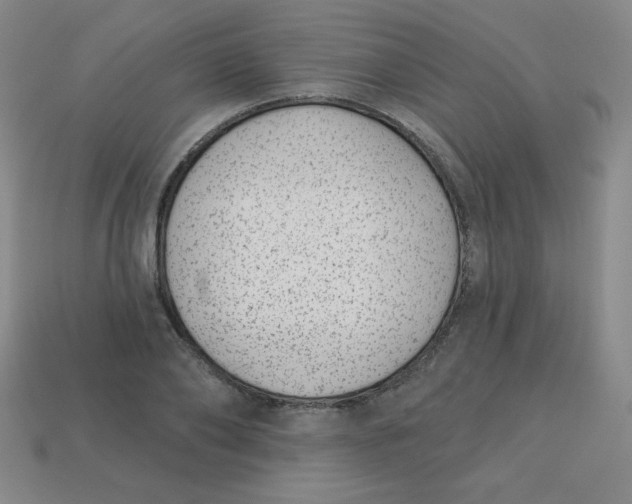 X0000113740886200910141001