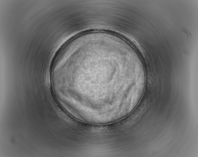 X0000113740887200910141001