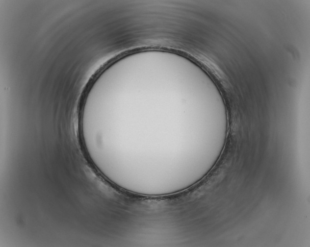 X0000113740888200910141001