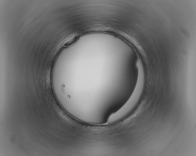 X0000113740889200910141001