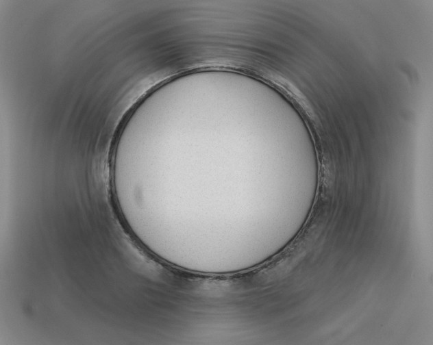 X0000113740890200910141001