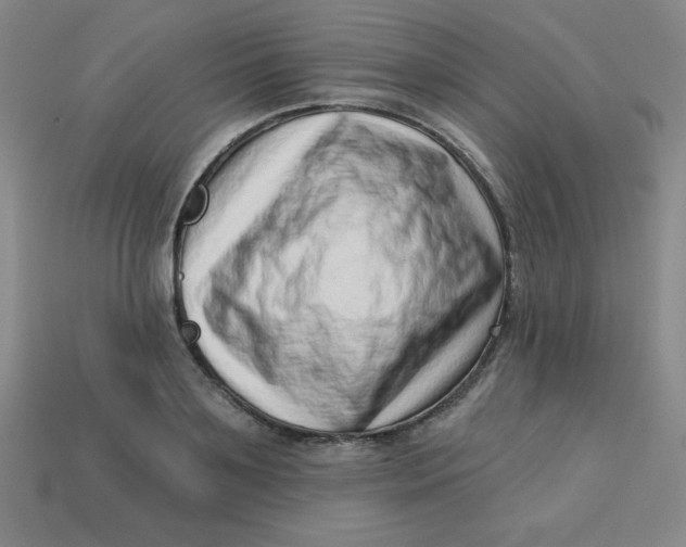 X0000113740891200910141001