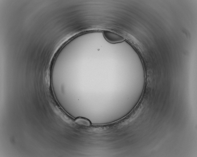 X0000113740892200910141001