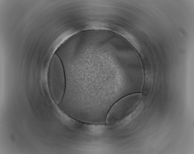 X0000113740893200910141001