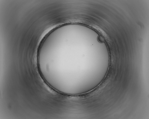 X0000113740894200910141001