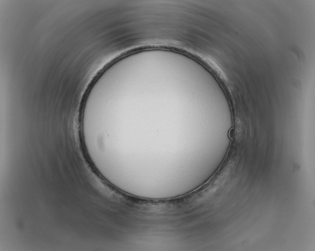 X0000113740895200910141001