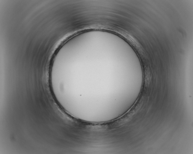 X0000113740896200910141001