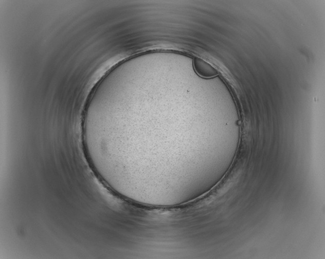 X0000113740898200910141001