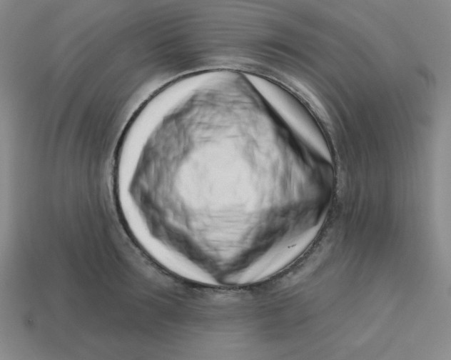 X0000113740899200910141001